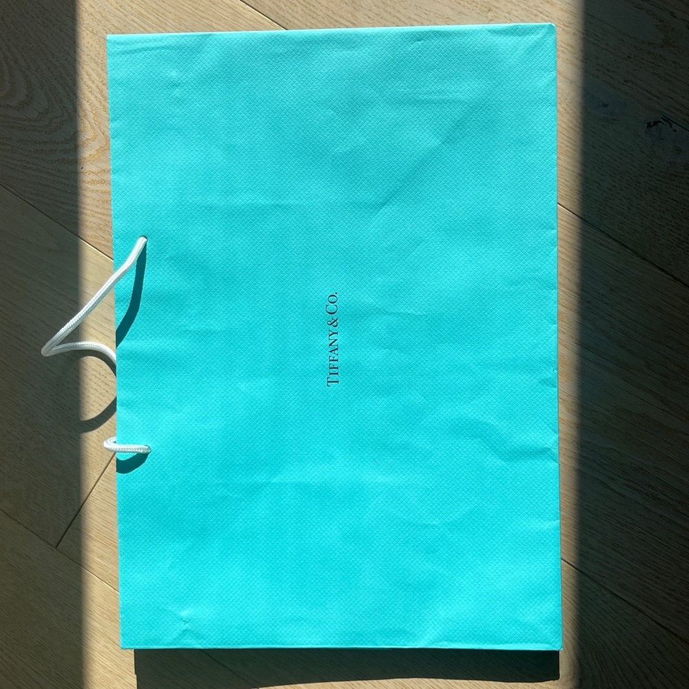 Clean and large Tiffany & Co. Turquoise Gift Bag